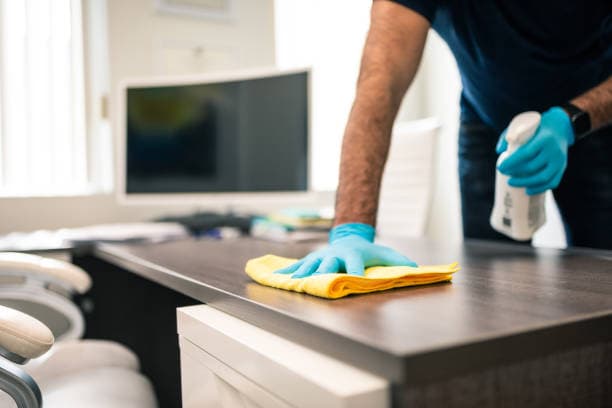  Professional Furniture Cleaning Services
